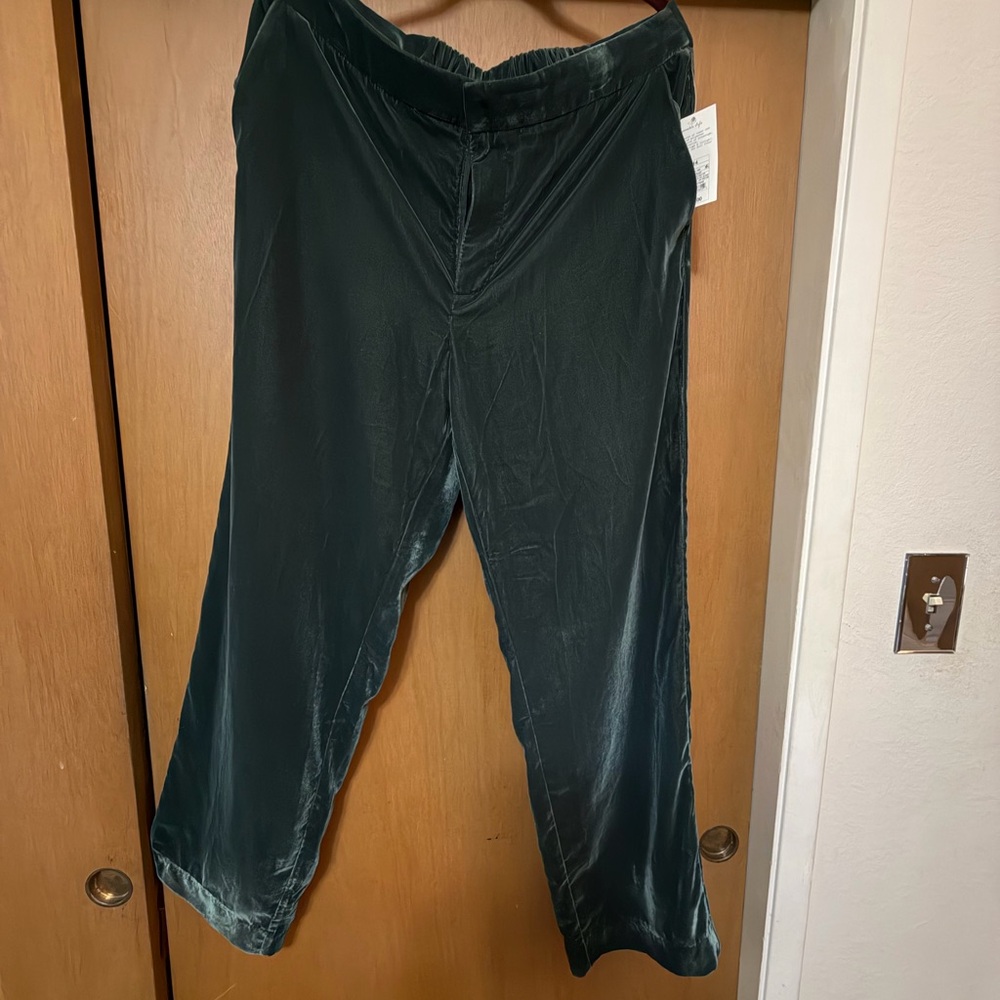 Women's Dark Green Velvet Pants
